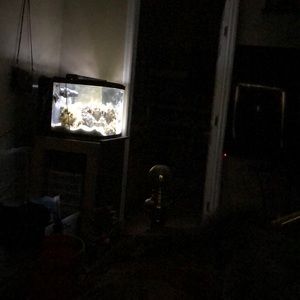 Meet your Posher, Laran